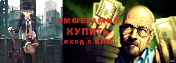 гидра Богородск