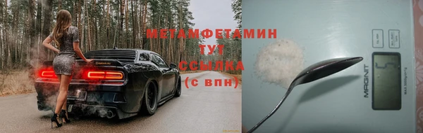 гидра Богородск