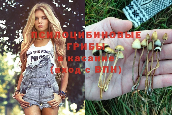 наркотики Белокуриха