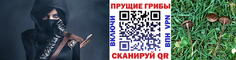 Галлюциногенные грибы Magic Shrooms  Иркутск 